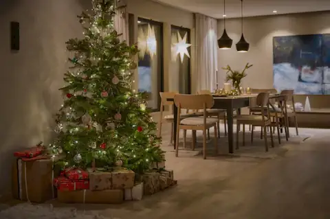 Christmas Light Installation by Tri-Valley Clean