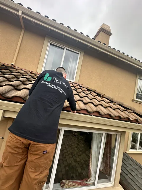 Gutter cleaning along the roofline