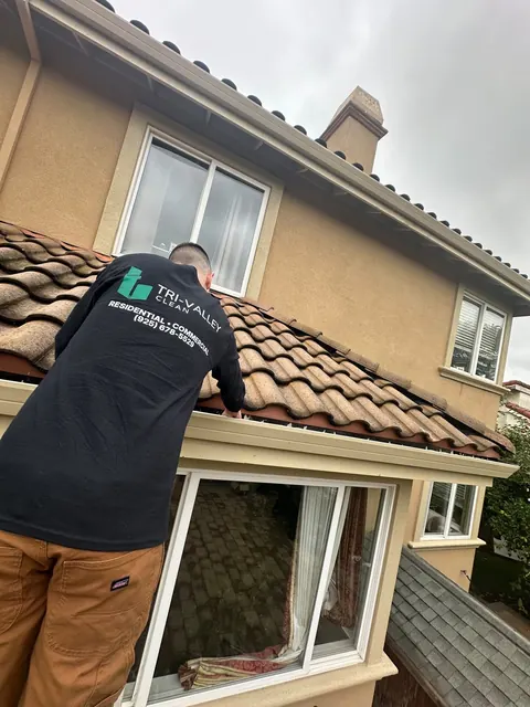 Gutter cleaning along the roofline