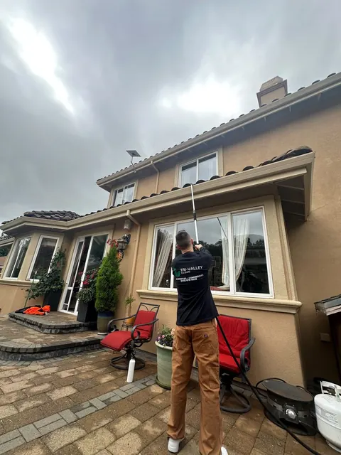 Window cleaning with a water-fed pole