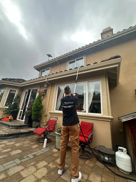 Window cleaning with a water-fed pole