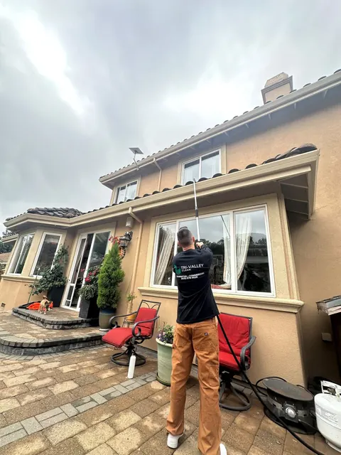 Window cleaning with a water-fed pole