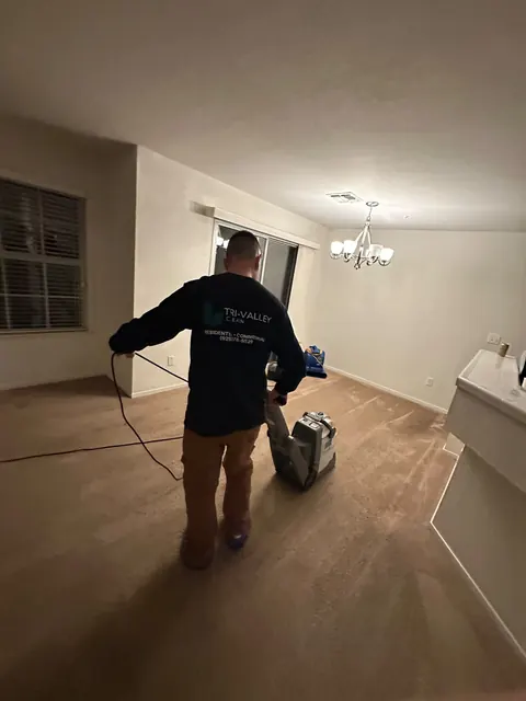 Carpet cleaning a living room
