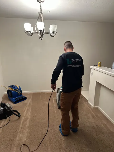 Carpet cleaning, with an air mover to help it dry