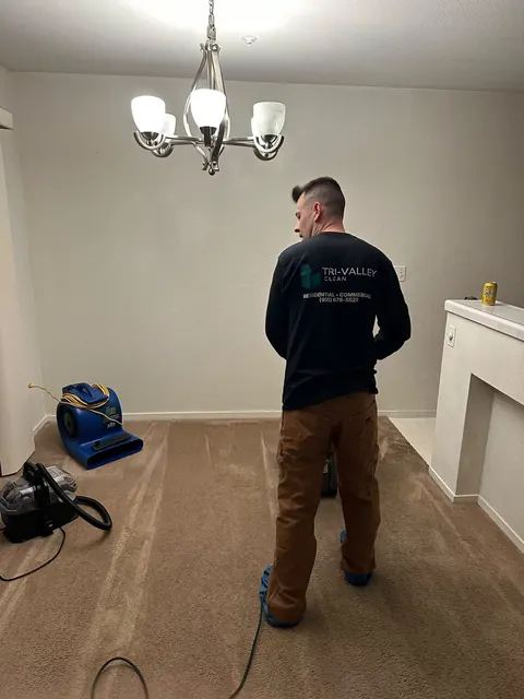 Carpet cleaning, with an air mover to help it dry