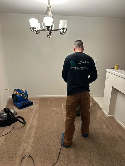Carpet cleaning, with an air mover to help it dry