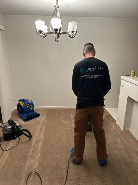 Carpet cleaning, with an air mover to help it dry