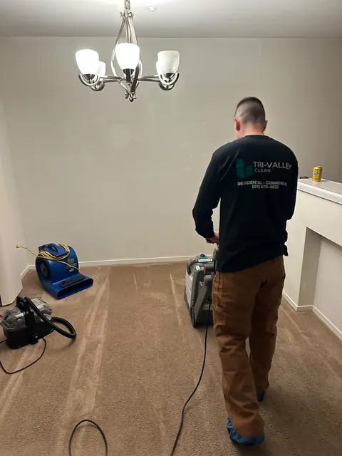 Carpet cleaning, with an air mover to help it dry