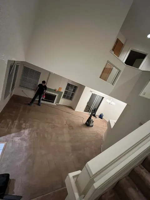 Carpet cleaning in an empty living room