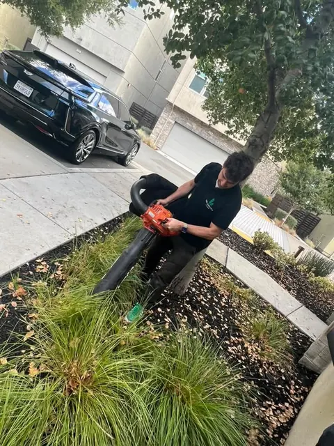 Fall leaf cleanup