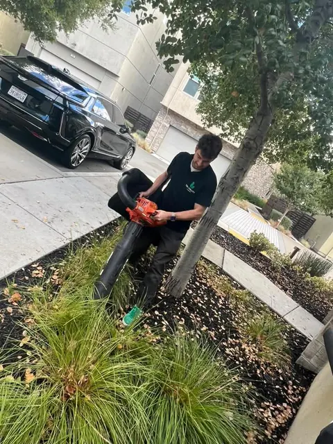Fall leaf cleanup