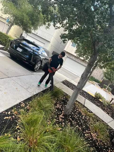 Fall leaf cleanup