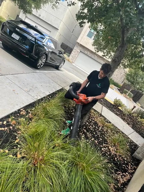 Fall leaf cleanup