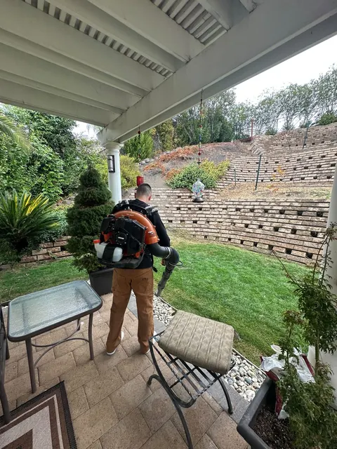 Backyard cleanup with a backpack blower