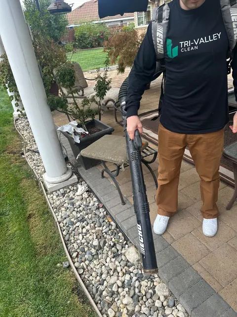 Yard and patio cleanup with a blower