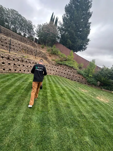 Lawn service: fresh stripes in a backyard