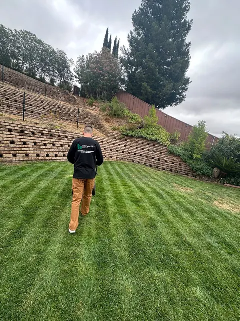 Lawn service: fresh stripes in a backyard