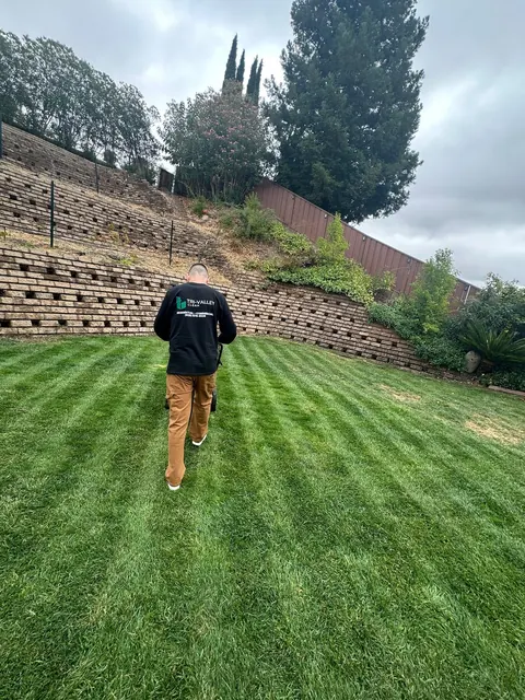 Lawn service: fresh stripes in a backyard