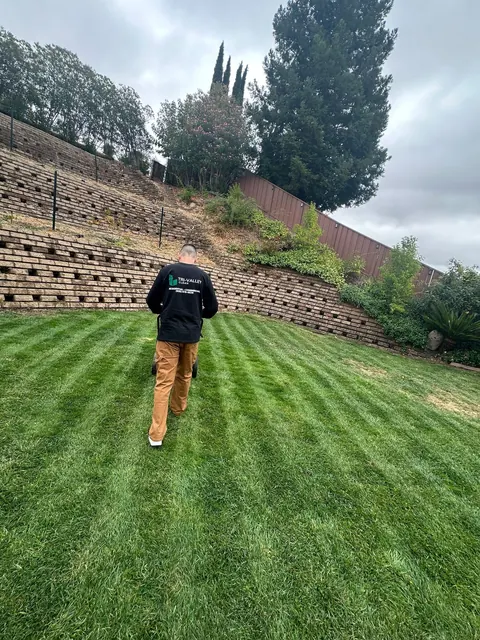 Lawn service: fresh stripes in a backyard