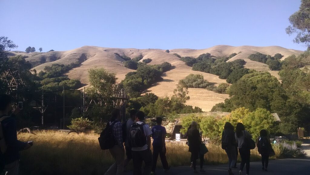Hills around Orinda, CA