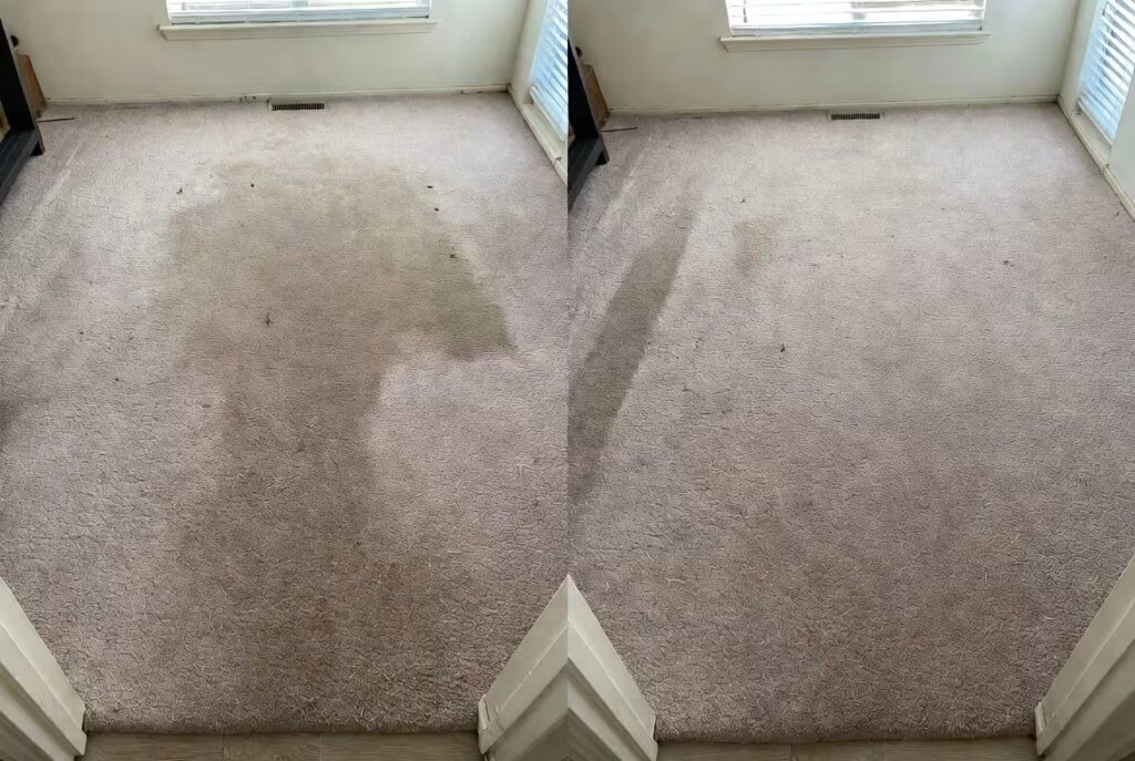 Carpet Cleaning in San Ramon CA