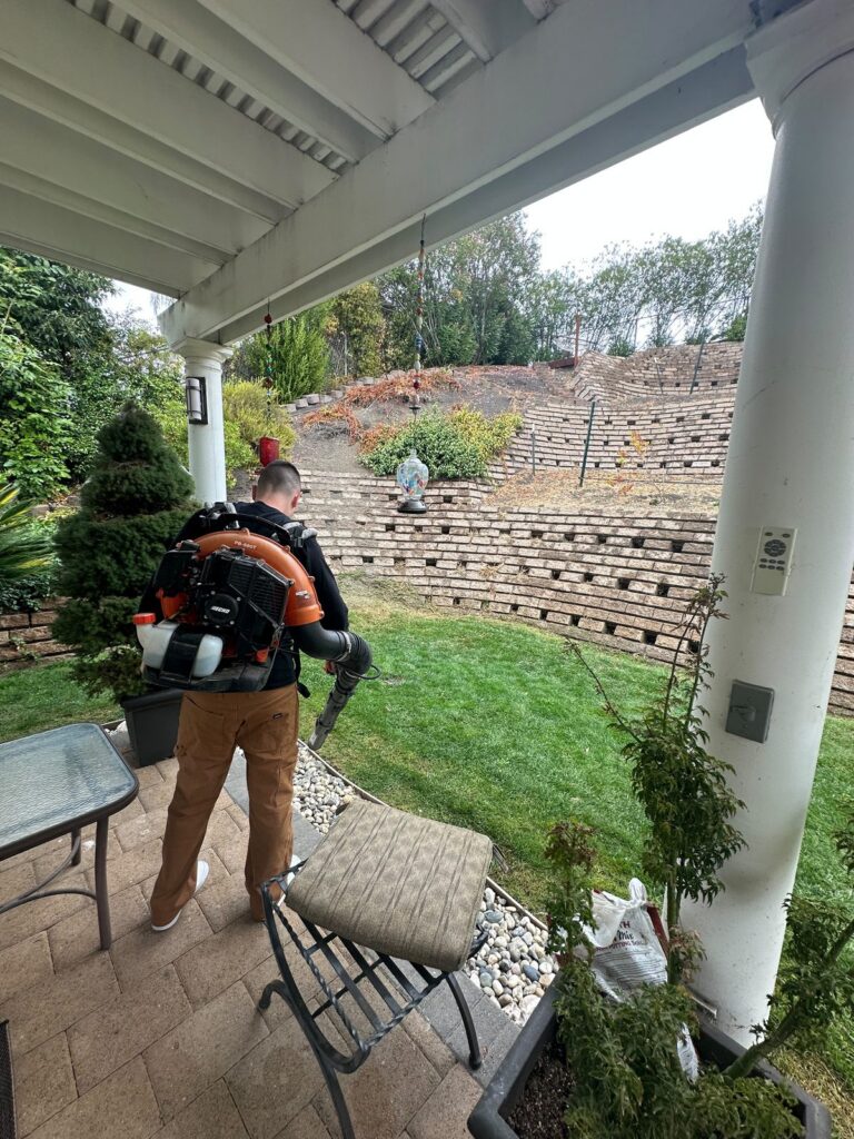 Backpack blower clearing leaves from a patio and garden