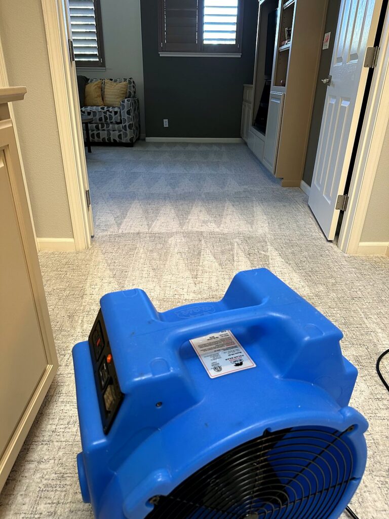 Air mover drying freshly cleaned carpet