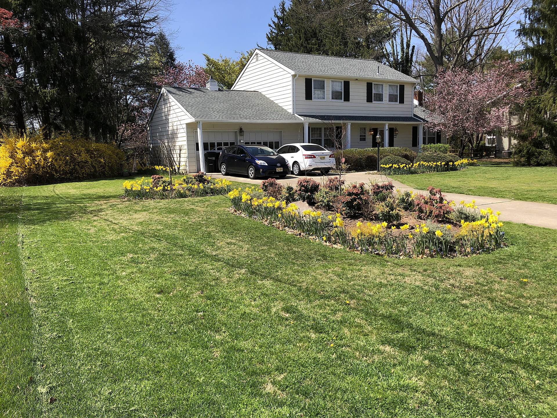 Freshly mowed front lawn