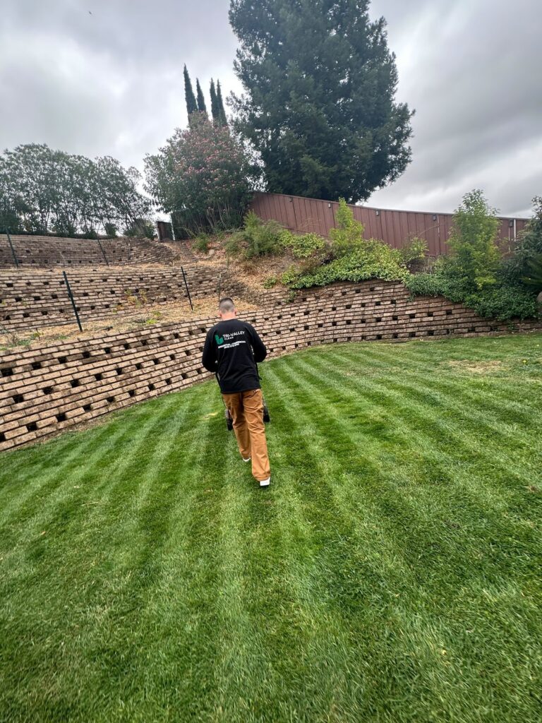Freshly mowed backyard lawn with retaining wall